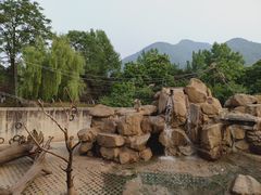 -西安秦岭野生动物园