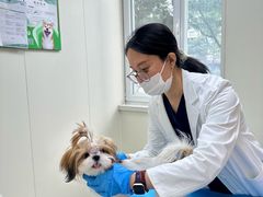 -美联众合动物医院·24h京西诊疗中心