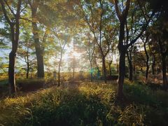 -洪泽湖古堰景区