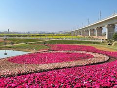 -光明小镇欢乐田园