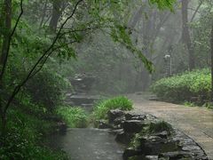 -虎跑公园