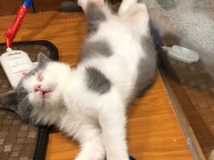 -龟与熊猫宠物公园(南坪店)