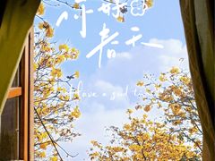 -洲头咀公园