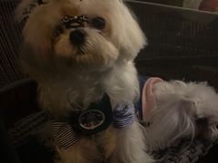 -星巴克(苏州张家港中昊檀宫店)