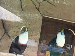 -北戴河集发农业梦想王国