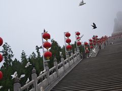 -龙口南山旅游景区