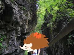 -神龙峡风景区