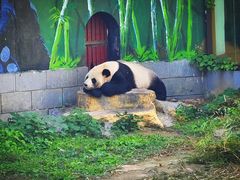 -南昌动物园