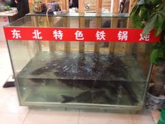 -三江鱼东北特色铁锅炖(骆驼店)