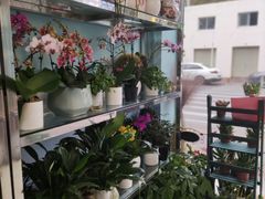 -花心思鲜花店(武昌徐东店)