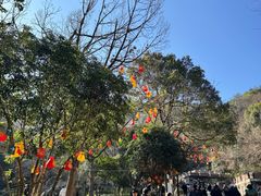 -灵顺寺