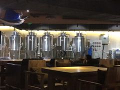 -40+精酿啤酒俱乐部(国投财富广场店)