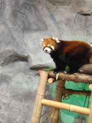 -Zoolung Zoolung动物主题公园(海信广场店)