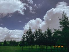 -塞罕坝国家级自然保护区