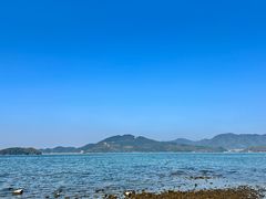 -四明湖