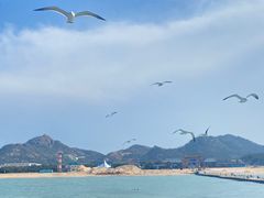 -海驴岛(荣成市)