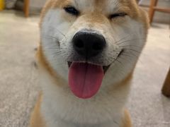 -三目仓咖啡(贤南路店)