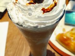 -猫咪博物馆(顶澳仔猫街店)