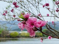 -国家植物园