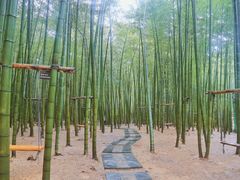 -陶祖圣境风景区
