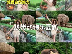 -野象谷景区