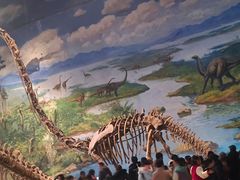 -自贡恐龙博物馆