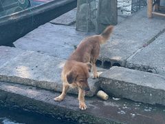 -东钱湖旅游度假区