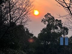 -杭州半山国家森林公园