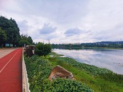 -洛龙公园