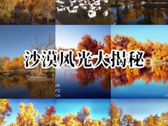-金塔沙漠胡杨林景区