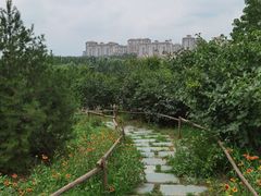 -马家湾湿地公园