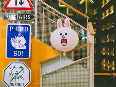 -line friends(明洞旗舰店)