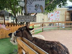 -HERRE·FARM 赫尔露营农场·团建聚会包场