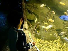 -苏州海洋馆