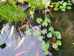 -凤凰山斑鱼馆(恭城店)