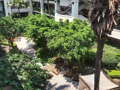 -观澜湖高尔夫球会