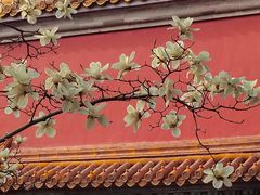 -北京市劳动人民文化宫(太庙)