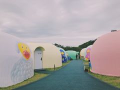 -漳州滨海火山岛自然生态风景区