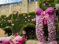 -青岛方特梦幻王国