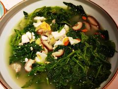 上汤桑叶苗-大榕树下顺德菜(融创茂店)