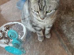 -有才叔的小馆(招商依云曲江店)