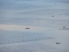-北岐滩涂