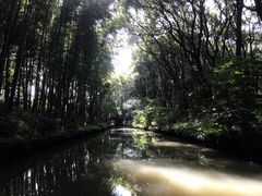 -同里国家湿地公园