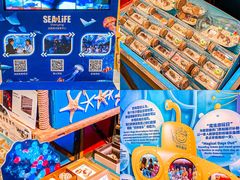 -沈阳海洋探索中心