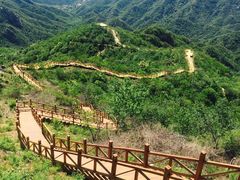 -大岭沟猕猴桃谷风景区