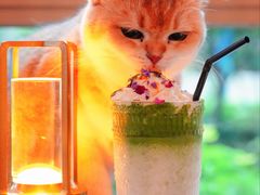 -咖法森林·咖啡  酒吧(天河店)