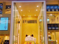 -屋虎猫馆(宝安大仟里店)