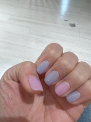 -BELLAREAL新美社
