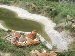 -栾川竹海野生动物园
