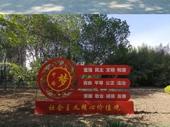 -大望京公园